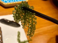 -南风(淮海街店)