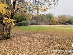 -北京奥林匹克公园