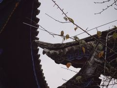 -和顺古镇