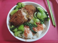 爆汁鸡排饭-北京大学-学五食堂