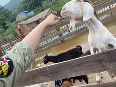 -无锡动物园·太湖欢乐园