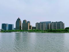 -金沙湖公园