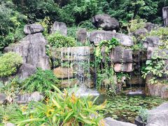 -广州神农草堂中医药博物馆