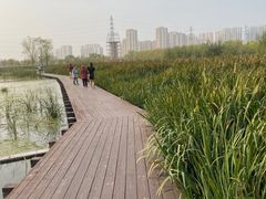 -永定河休闲森林公园