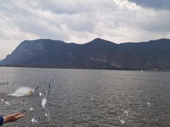-海埂大坝