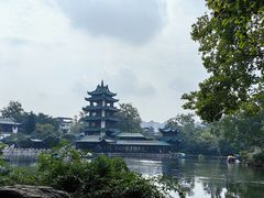 -桂湖森林公园