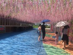 -洪湖湿地生态园