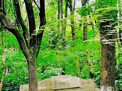 -杭州半山国家森林公园