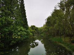 -昆山城市生态森林公园