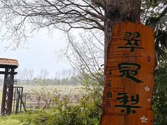 -同里国家湿地公园