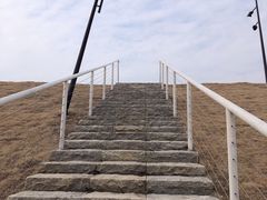 -佛手湖郊野公园