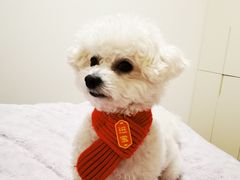 -派特宠物医院(圆融广场店)