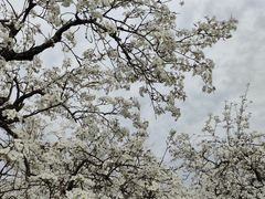 -江苏三台山国家森林公园