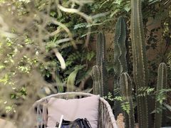 -Osteria Garden 生蚝花园餐厅(原进贤路店)