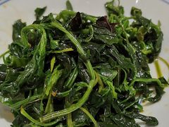 灰灰菜-老碗会·陕西手工面(前海世茂店)