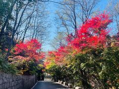 -崂山九水游览区