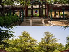 -龙口南山旅游景区