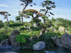 -罗红摄影艺术馆