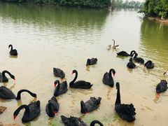 -艾溪湖湿地公园