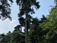 -沈阳市东陵公园