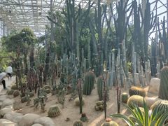 -祥源·阜阳生态乐园