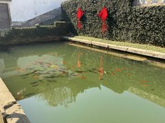 -宁波市保国寺古建筑博物馆