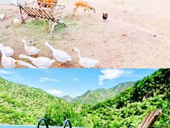 泳池夏天开放-北京山里寒舍度假酒店