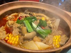-粉灯牛腩牛杂煲·鸡煲(双井店)