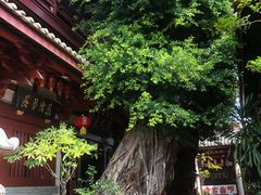 -叩齿古寺