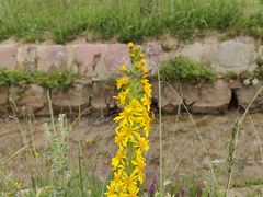 -扁都口生态休闲旅游区