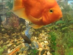 -时尚mego商业广场