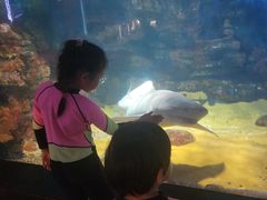 -烟台海昌鲸鲨海洋公园