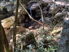 -姑婆山旅游区