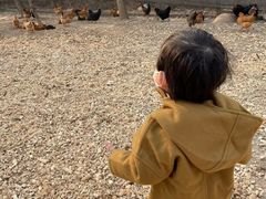 -甜心庄园·甜心草莓采摘园(西青中北店)