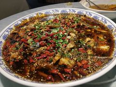 -新概念来凤鱼(璧山店)