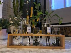 -蝶舍·MAISON PAPILLON