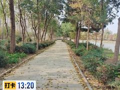 -合肥滨湖国家森林公园