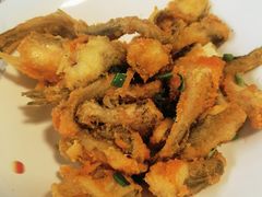 -大树下饭店(春晓镇慈岙社区卫生服务站南)