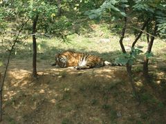 -石家庄市动物园