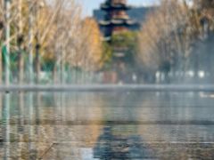 -龙华素斋(龙华路店)