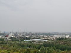 -白水寺森林公园