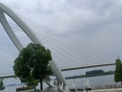 -南京眼步行桥