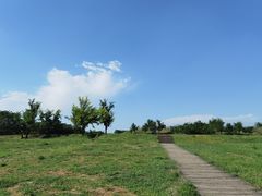 -汉长安城未央宫国家考古遗址公园