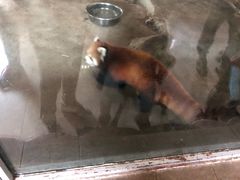 -哈尔滨北方森林动物园