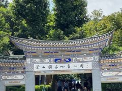 -寂照庵