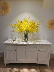 -皇家月府月子中心(沈阳店)