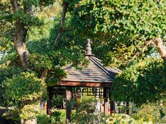 -武汉紫薇都市田园