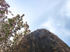 -桃花堤公园