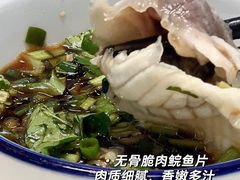 -港升鱼师傅·中山脆肉鲩