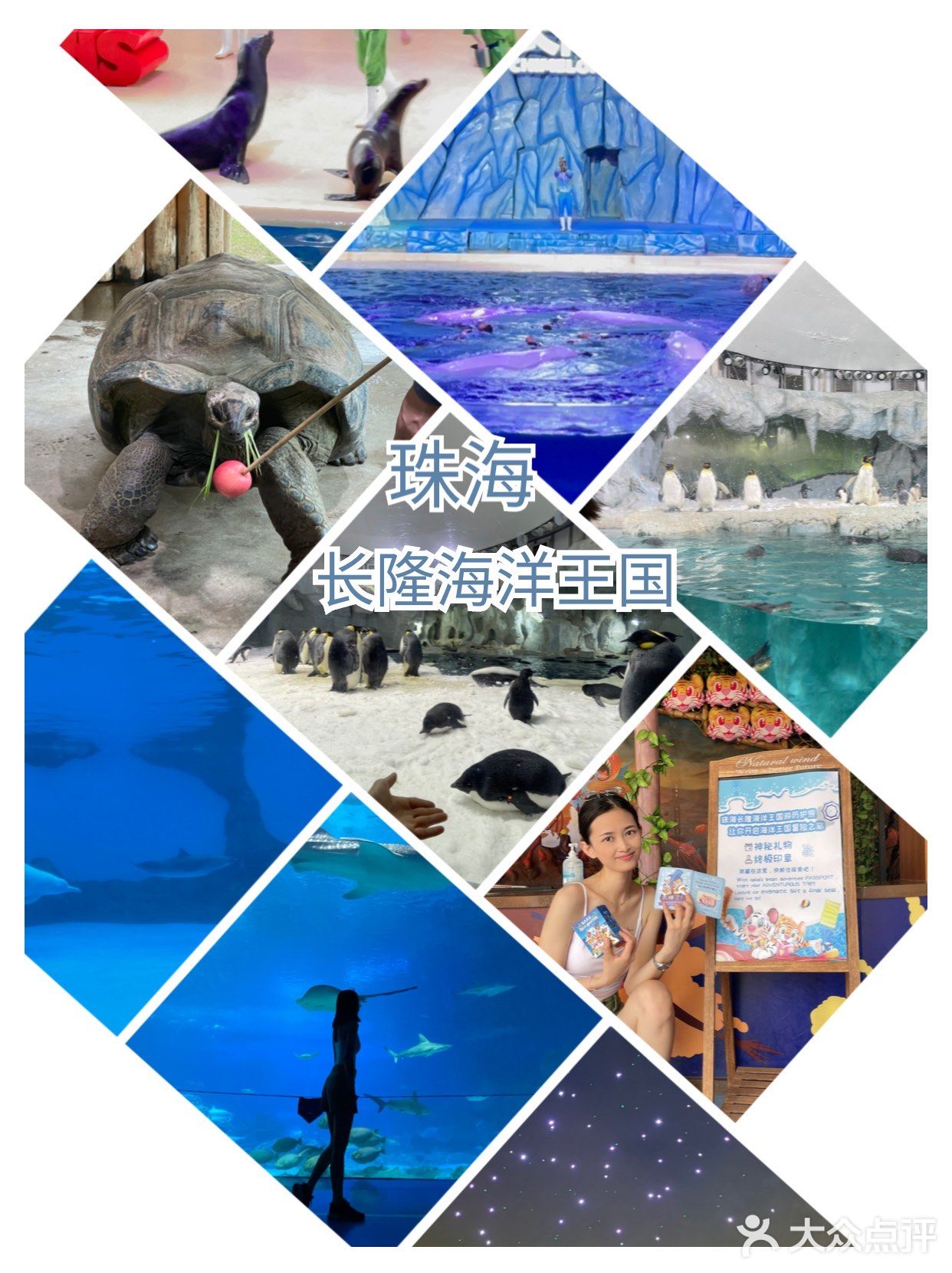 海洋公园两天一晚小攻略